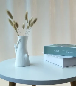 Schoonmaak